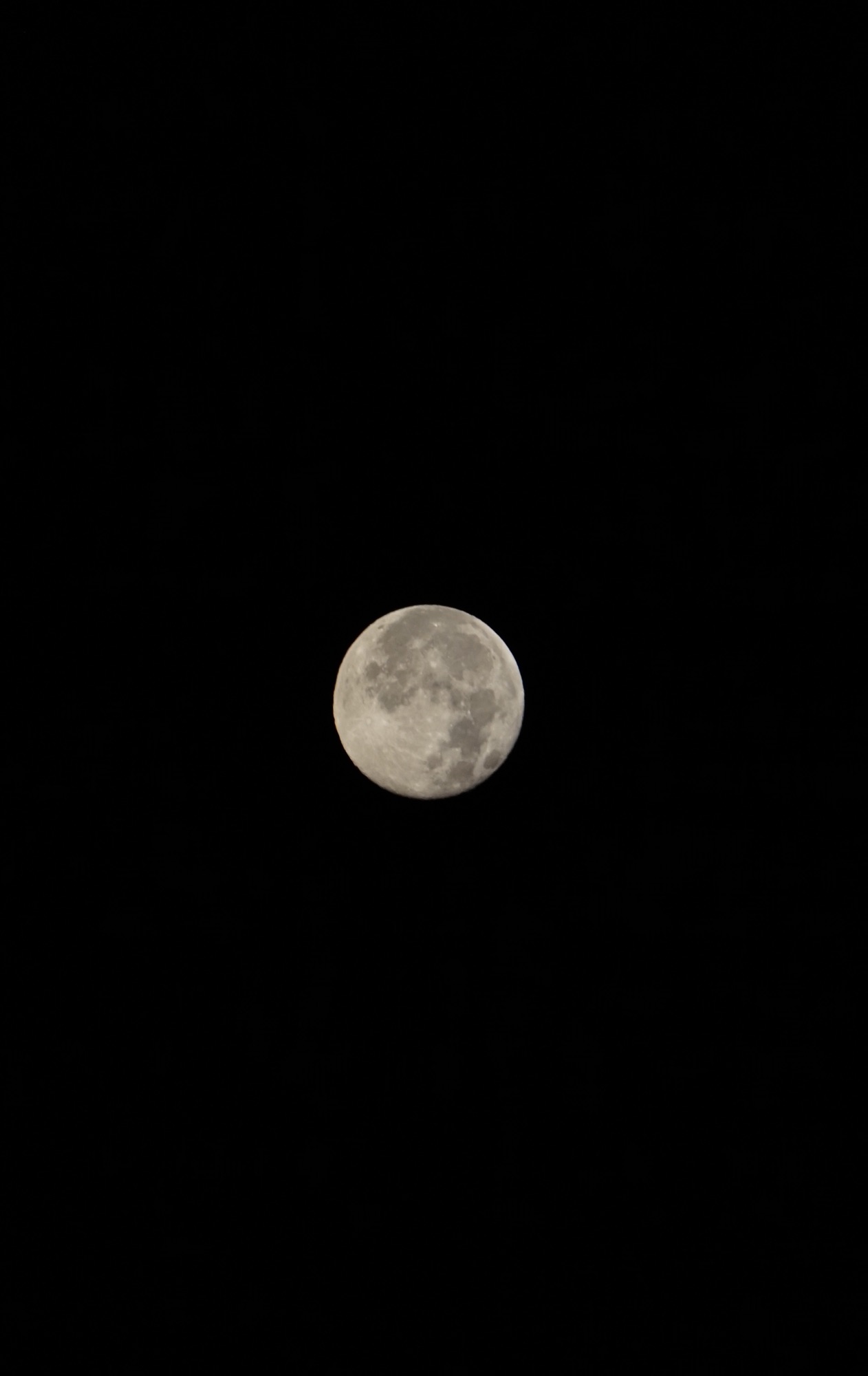 Harvest Moon